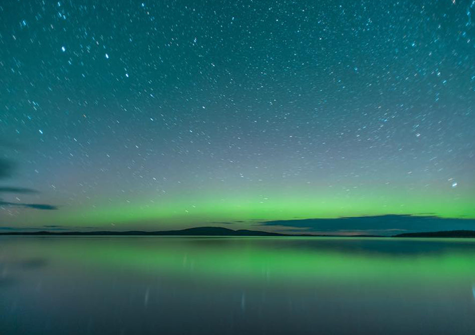 Coups de coeur nature