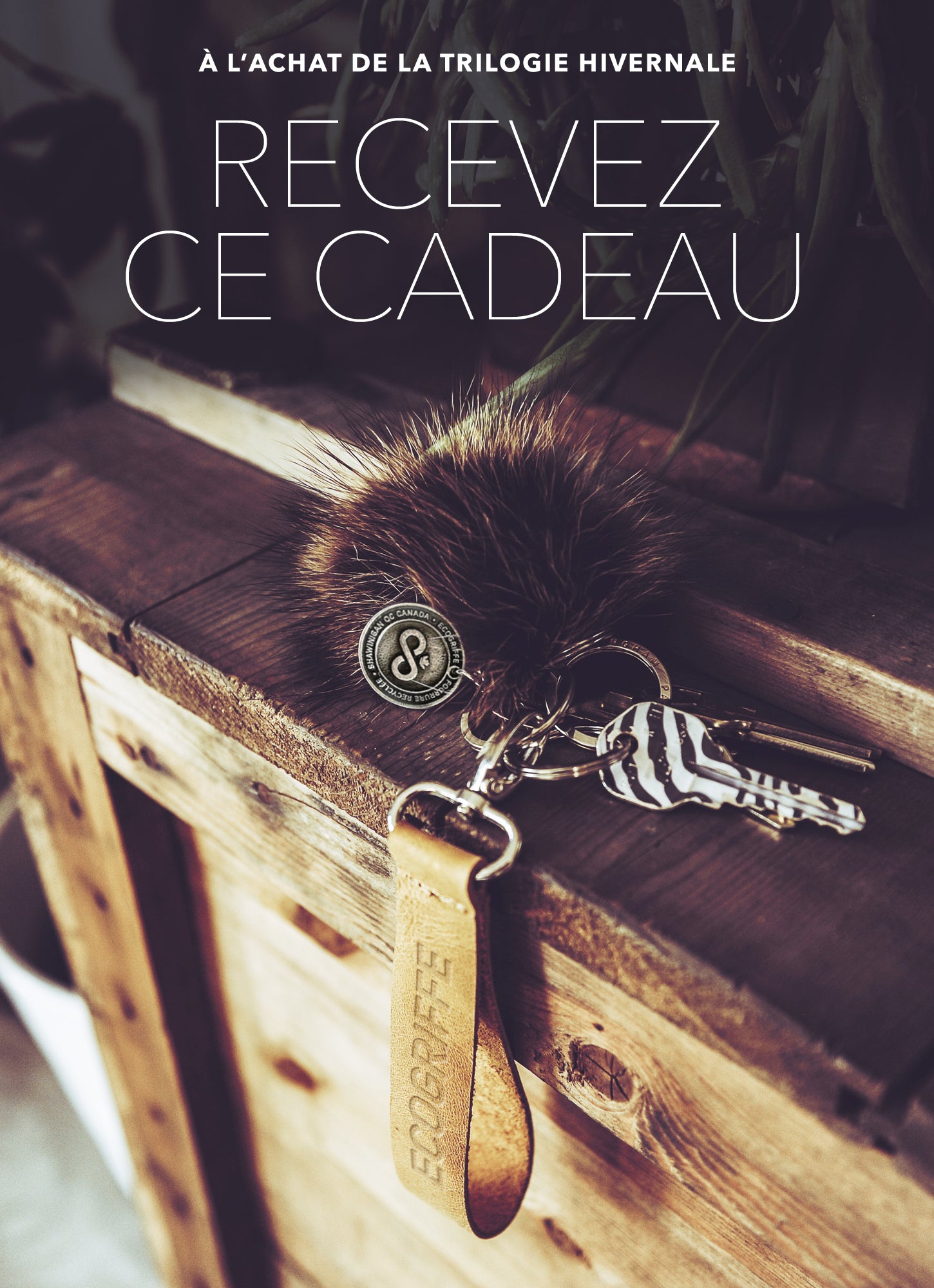 2023-cadeau-sur-achat copie