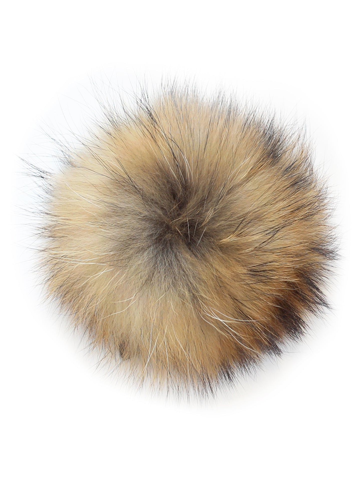 ecogriffe-pompon-tuque-chat-finlandais-OK copie